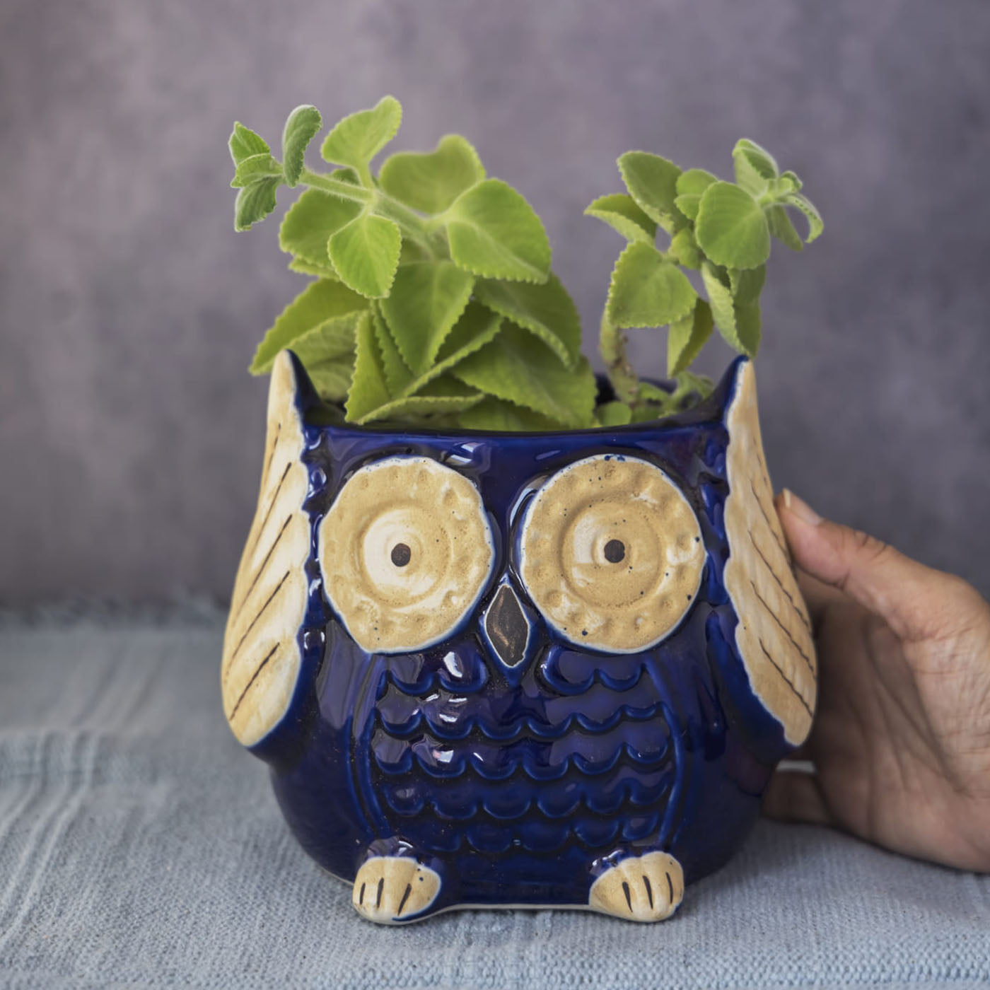 Garden Gleams Blue Owl Planter Pot